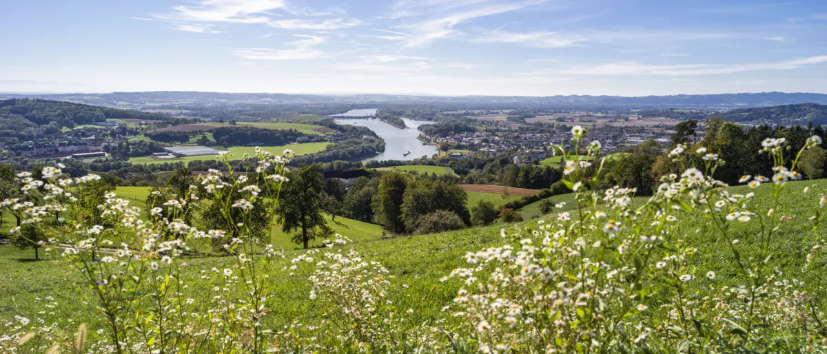 Das Mühlviertel