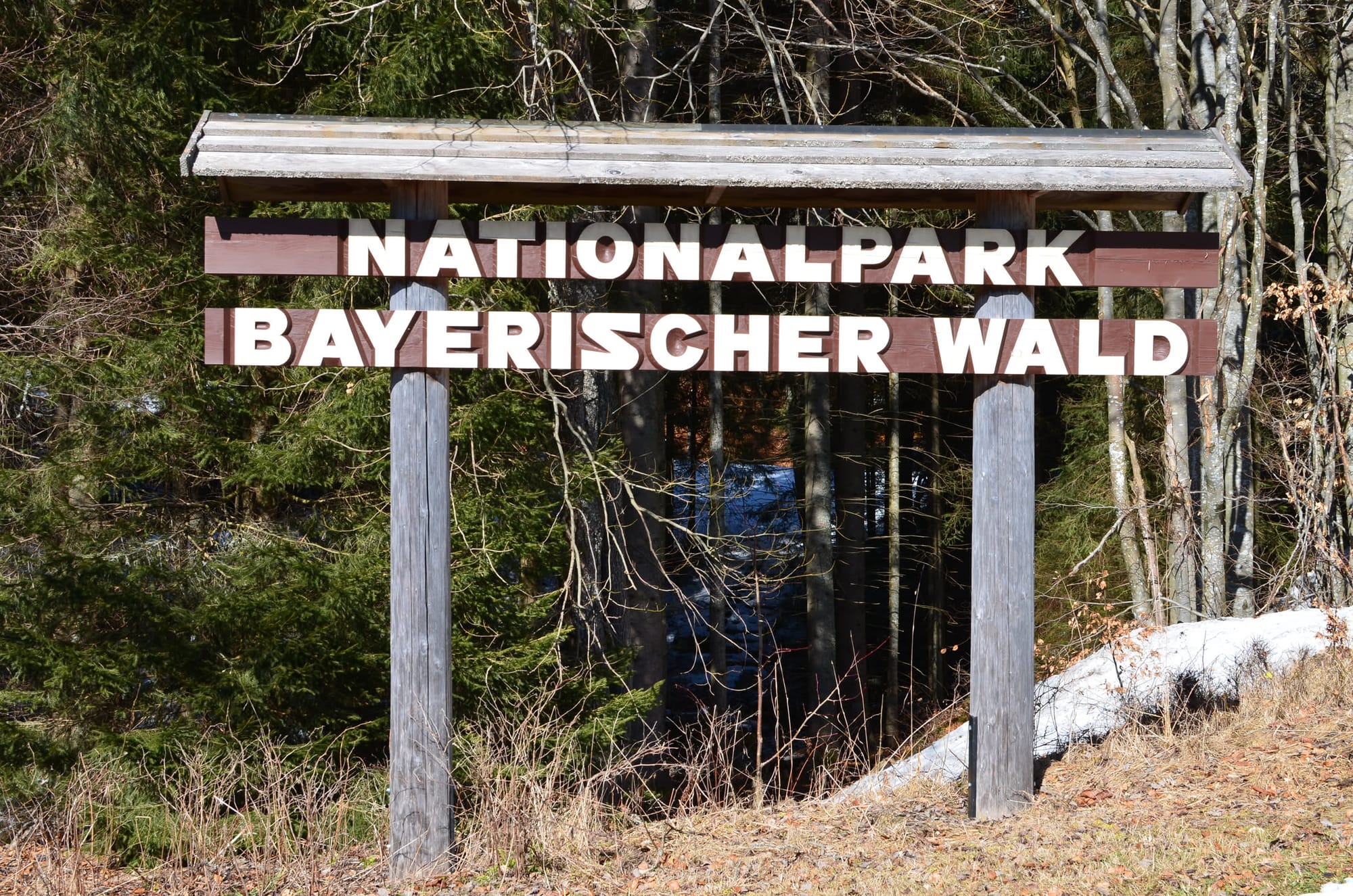 Wildnis, Granit und Glaskultur: Der Nationalpark Bayerischer Wald