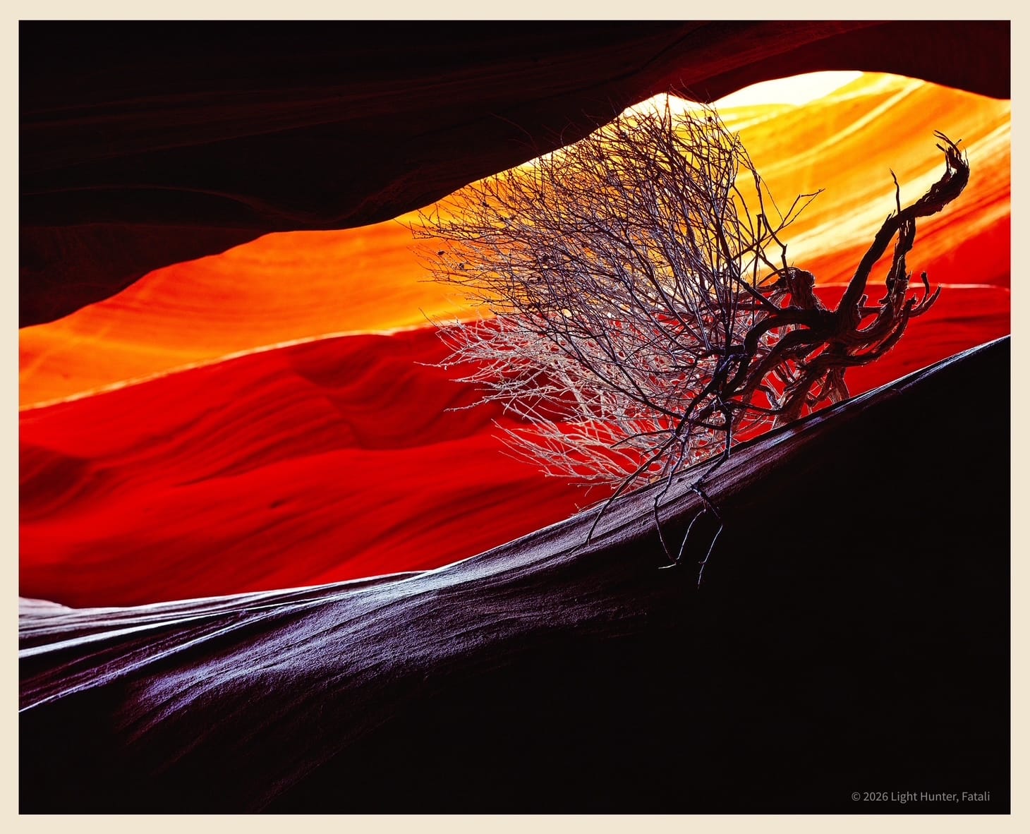 Der Lichtjäger – Eine persönliche Hommage an Fatali