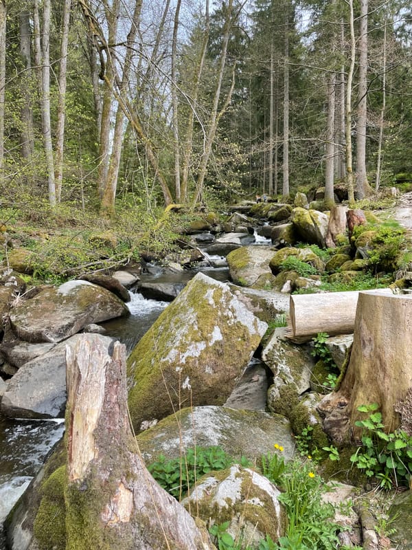 Saußbachklamm bei Waldkirchen