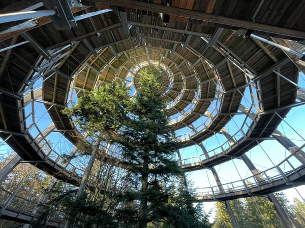 Der Bayerische Wald: Das grüne Herz Ostbayerns und das Tor zu Europa