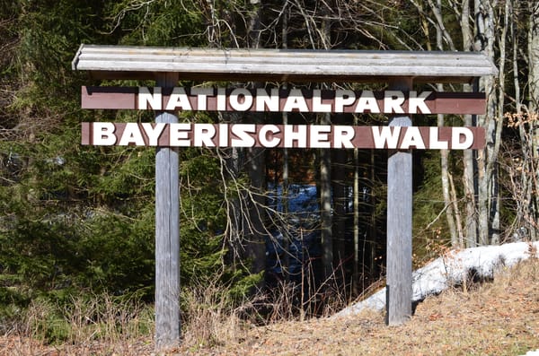 Wildnis, Granit und Glaskultur: Der Nationalpark Bayerischer Wald