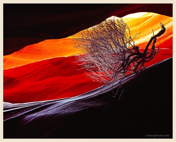 Der Lichtjäger – Eine persönliche Hommage an Fatali